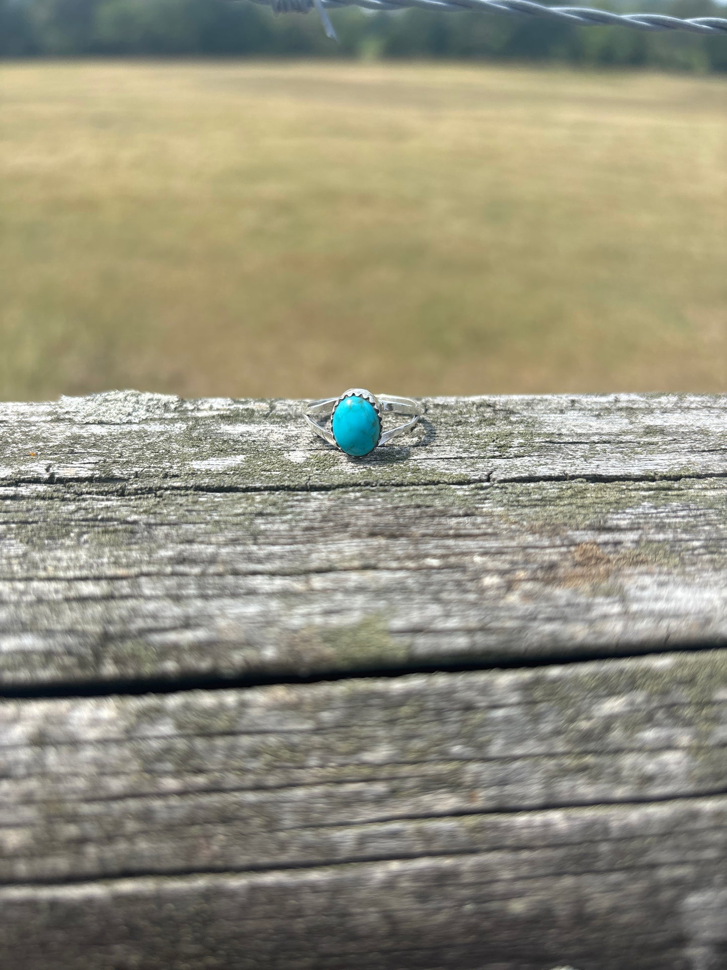 The Perfect Ring