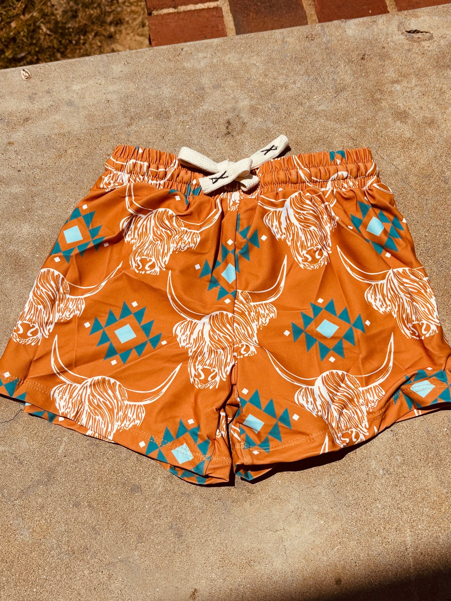 Highland Swim Trunks