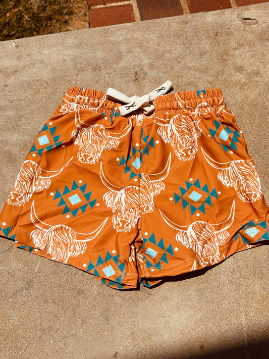 Highland Swim Trunks
