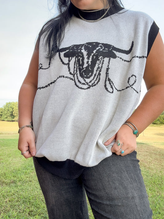 Lasso The Longhorn